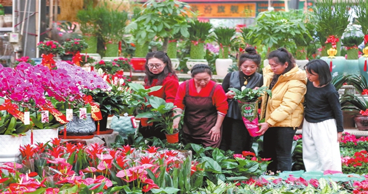 臨汾：鮮花俏銷